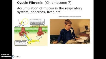 Mendelian Patterns of Inheritance Part 2 Bio 101