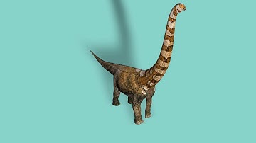 Puertasaurus FREE 3D Models With Animation And rigged In Cinema4D FBX