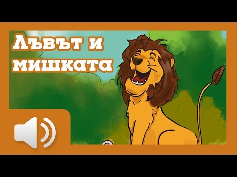 Видео: Бракониер, тъпкан до смърт от слон, изяден от лъвове