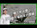 蘭花與觀葉植物都一樣，都是因為品種多元與豐富性才能成為大家瘋狂的因素 #國際蘭展