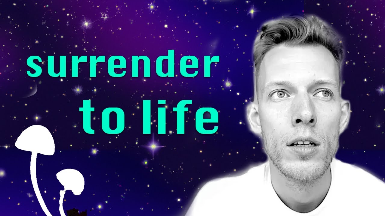 The Deepest Lesson Mushrooms Ever Taught Me: Surrender 🦋