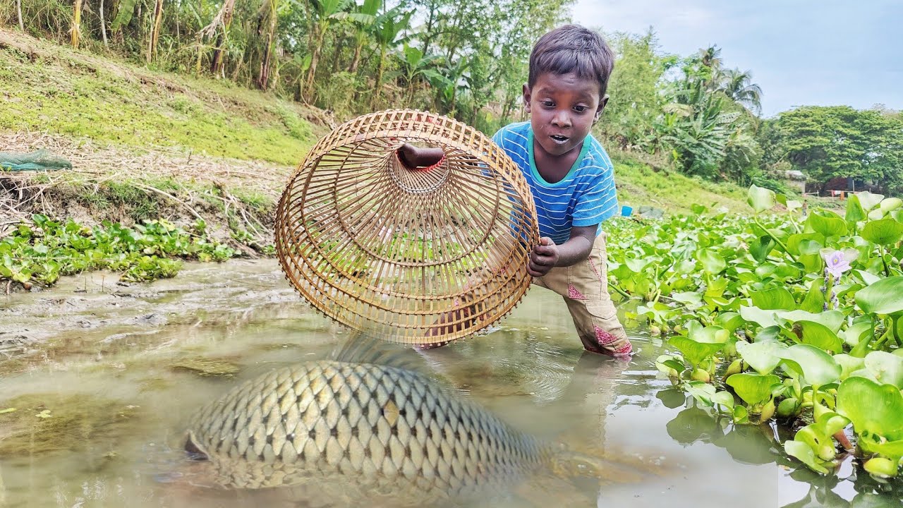 amazing polo fish trap ~ smart boy catching fish with polo from the village river 🐠🥰