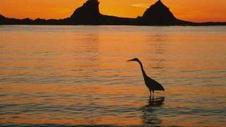 Techno Music Oceanic Waltz