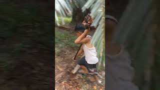 senggol dong #shortvideo #sawit #senggol #anak #kerjakeras #viral #short