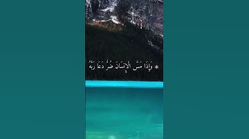 تلاوة جميلة تشرح الصدر ياسر الدوسري❤️