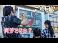 【家族の休日】珍しい自販機で昭和レトロなガチャに挑戦！末っ子大喜びと兄妹の癒やし時間