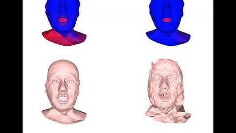 Non rigid deformation