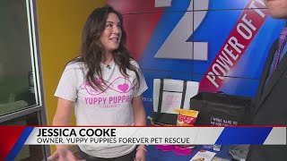 Yuppy Puppies Forever Pet Rescue