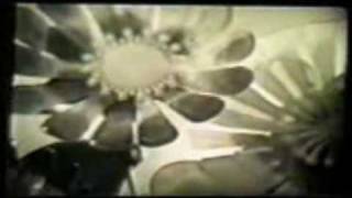 Video thumbnail of "Licorice Schtik - Flowers Flowers (1968)"