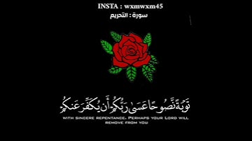 حالات واتس اب تلاوة خاشعة للقارئ سلمان العتيبي