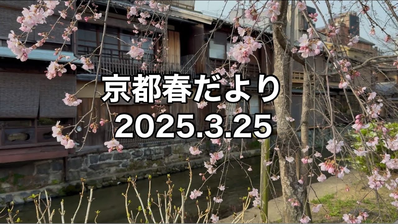 2025.3.25京都桜】蹴上インクライン・円山公園・南禅寺・木屋町