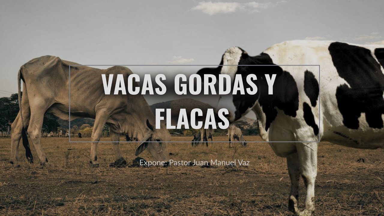 Vacas gordas y flacas - Juan Manuel Vaz