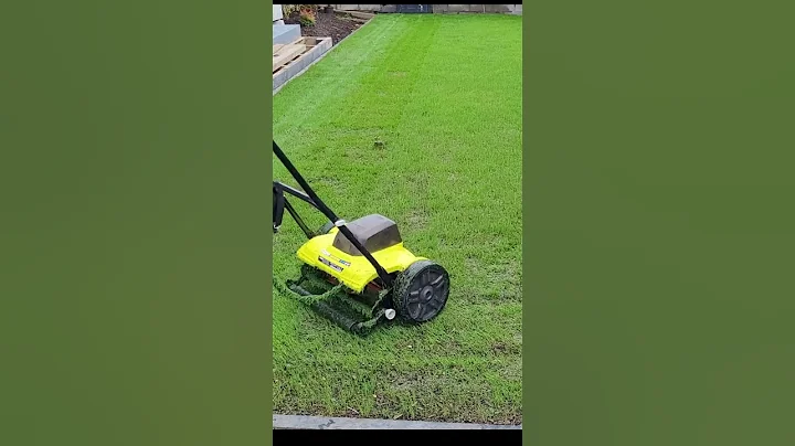 Ryobi 18v Reel Mower first mow new Ryegrass lawn! #shorts