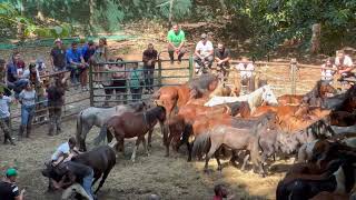 Gaxate, Galicia