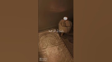 خَيـࢪ الخطَّائيِـن التَّوابُـون ... 🤍   #قران_كريم #اكسبلور #تذكير #موعظة #راحة_نفسية #تلاوة_خاشعة