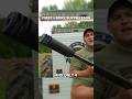 What Makes a Suppressed Four Bore So Powerful?