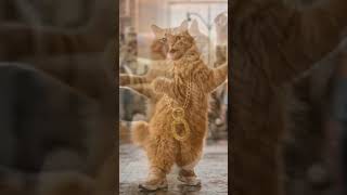 ORANGE CAT DANCING?😶 #catdance #orangecat #shorts