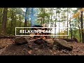 Relaxing Sounds Of A Crackling Campfire #sleep #relax #asmr