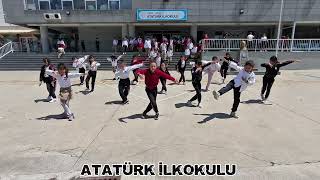 KARTAL DANSI