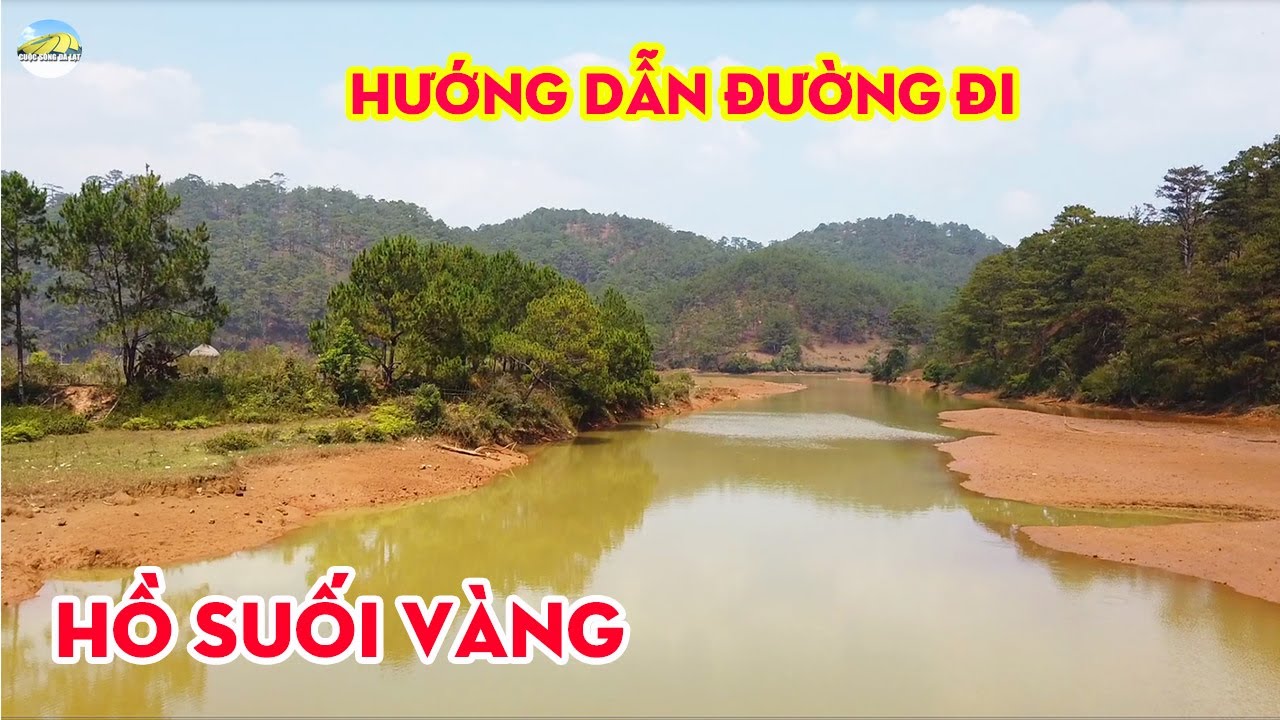 rum vàng đà lạt 2022 Update Hướng dẫn đường đi CÂY THÔNG CÔ ĐƠN, HỒ SUỐI VÀNG đi là đến | Cuộc sống Đà lạt