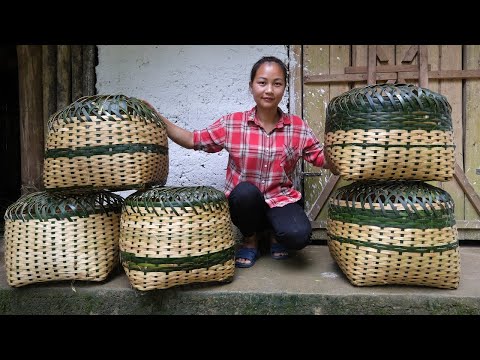 Video: Hvilken bambus klumper seg?