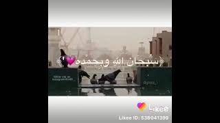 هي جنة طابت وطاب نعيمها💫🌸💚حالات واتس اب قصيرة