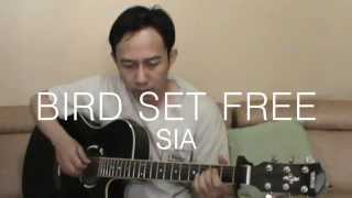 Video thumbnail of "Sia - Bird Set Free (Fingerstyle Guitar Cover) + TABs"