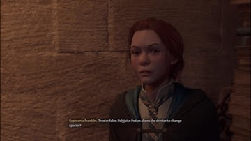 Hogwarts Legacy: Transfiguration Class