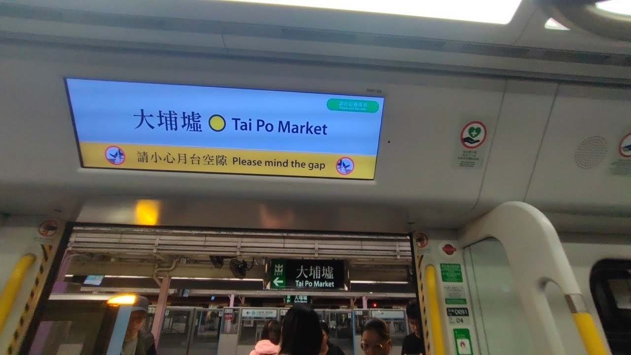 [New announcement😵‍💫]MTR ERL R-train(D091/D093) Kowloon Tong to Tai Po ...