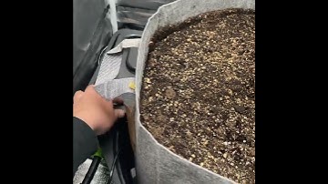 Megapot - Designed with growers in mind.
