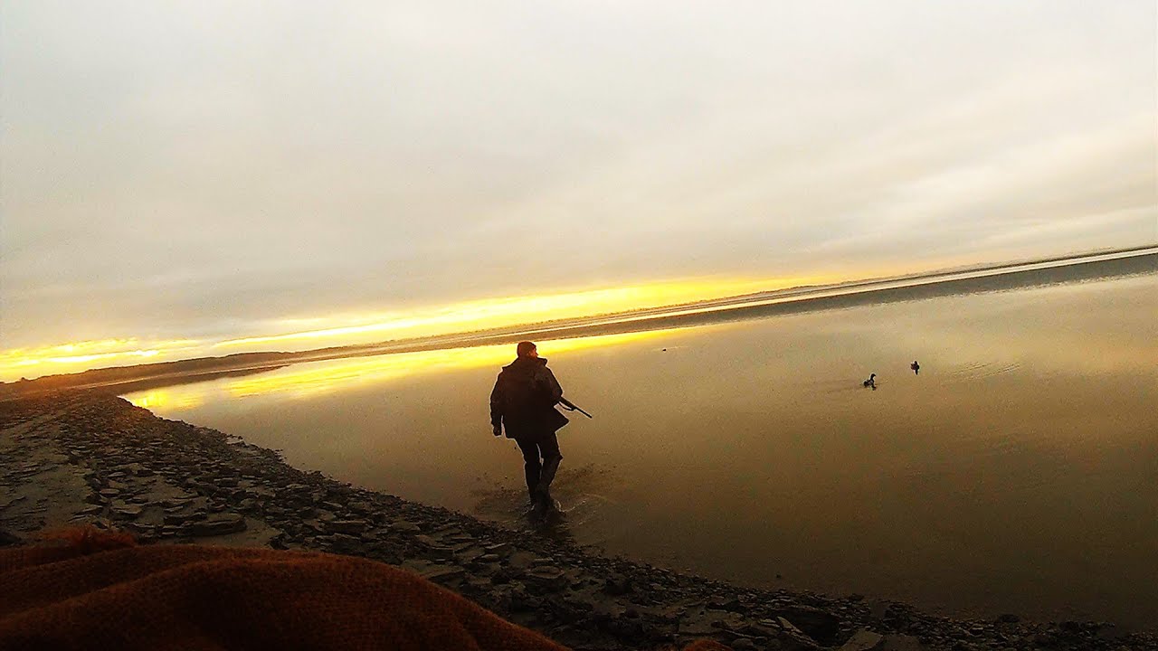 chasse au trou en baie du mont saint michel [HD]