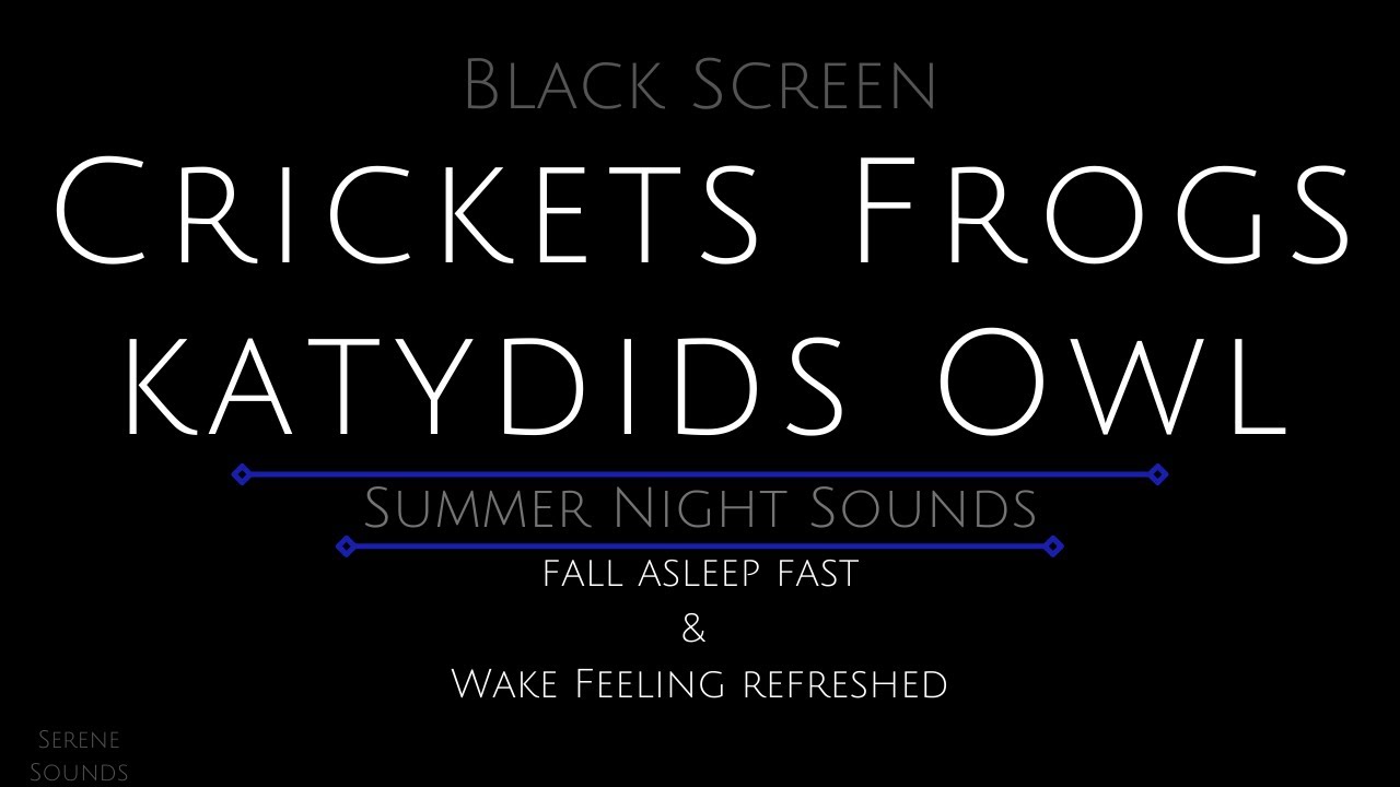 Watch Black Screen 10 Hours - Crickets - Frogs - Katydids - Owl - Cricket Sounds for Sleeping on YouTube Watch Black Screen 10 Hours - Crickets - Frogs - Katydids - Owl - Cricket Sounds for Sleeping on YouTube