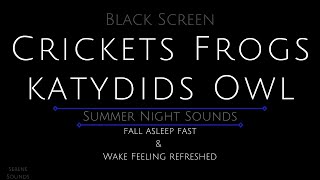 Black Screen 10 Hours - Crickets - Frogs - Katydids - Owl - Cricket Sounds for Sleeping screenshot 2