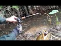 Câu lươn.cân não với con lươn bằng cần câu cá phần4/eel with a fishing rod