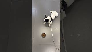 В @MegaFonTV  ПРОВЕЛИ ЧАС - это провал 😨 года!  #megafon #мегафон #екатеринбург #mrwhitedog #шок