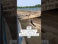 انقذ حياة صديقه بأعجوبة مرتضى حرب قصة مشاي 2024 انقذ حياة صديقه بأعجوبة مرتضى حرب قصة مشاي 2024