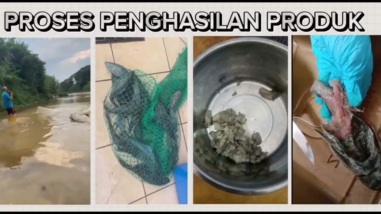 NTC 2023 - EDREAMERS