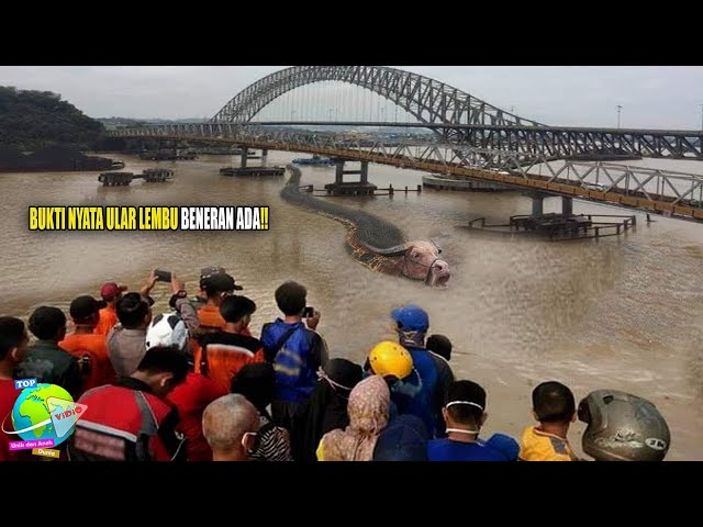 Bukti Nyata Ular Lembu Sungai Mahakam Masih Hidup !! Lilitannya Hancurkan Satu Rumah Warga... class=