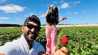 Strawberry picking 🍓🤤😱මෙහෙමත් challenge එකක්🤪හිනා වෙන්න ආස අයට🤣-Sangeeth Dini Vlogs