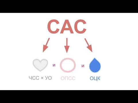 Вспоминаем физиологию. Часть 3. Артериальное давление
