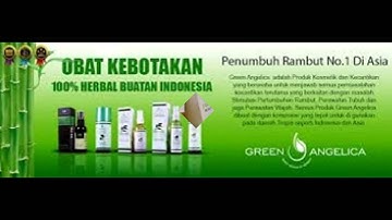 083 830 652 224, alami green angelica obat botak