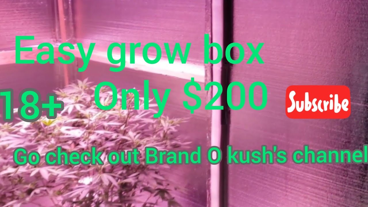 Diy grow box (cheap to build $200)