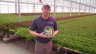 2021 Supreme Greens by Great Lakes Growers