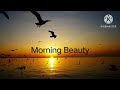 Morning Beauty // Bird's Chirping// nature