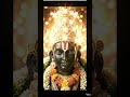 #LordBalaji #Balaji #TirupatiBalaji #Venkateswara #Govinda #SriVenkateswara #BalajiBhagwan #Balaji