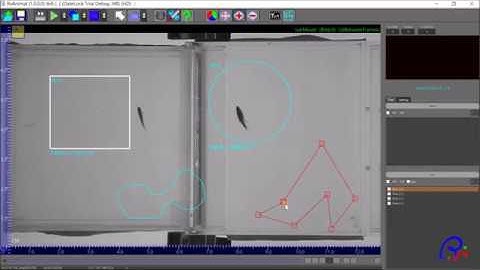 RV Tracking Animal Video Behavior System Roi Detection area Shape Edit