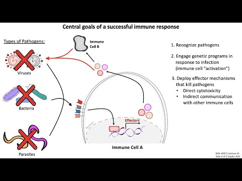 Lecture 1b: Introduction
