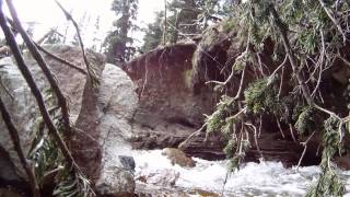 Brookie Trout Takes Fly Underwater ON CAMERA