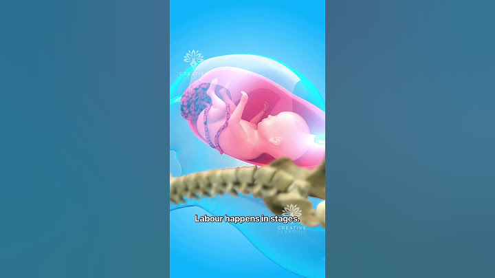What Really Happens During Normal Delivery 😱 #pregnancy #viralvideo - Creativelearning3d