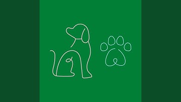 Contemporary Backdrops for Relaxing Your Pooches